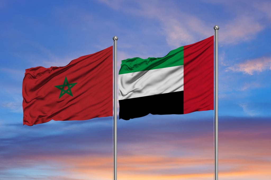 1.32 مليار دولار قيمة الصادرات الإماراتية إلى المغرب في العام 2023