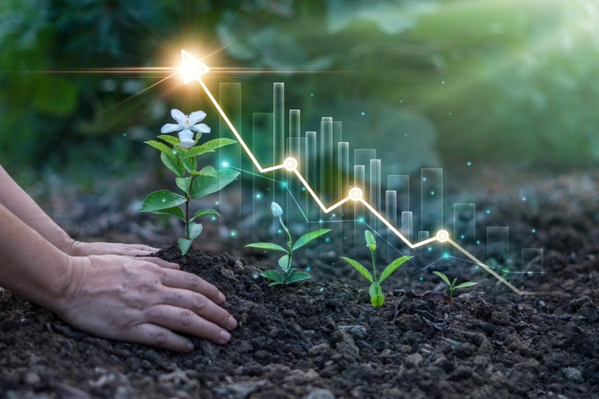 Emerging economies agriculture