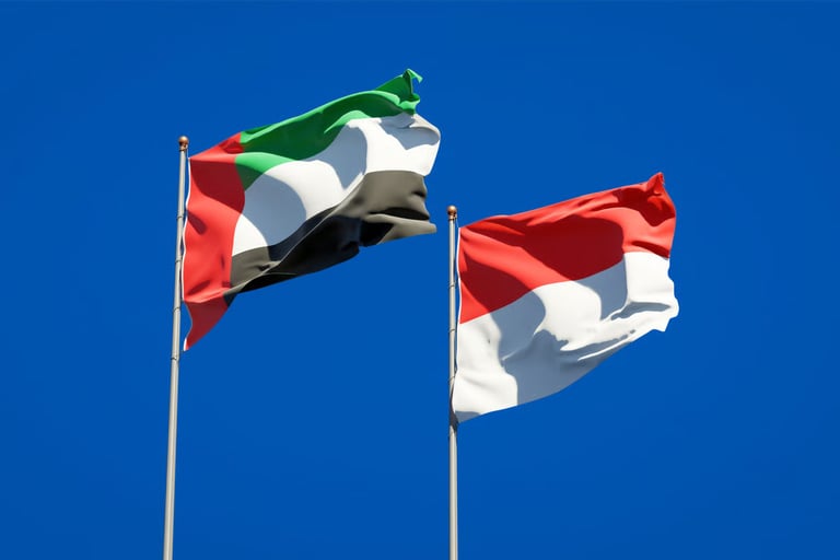 UAE, Indonesia to boost cooperation in public finance, debt management, and climate finance