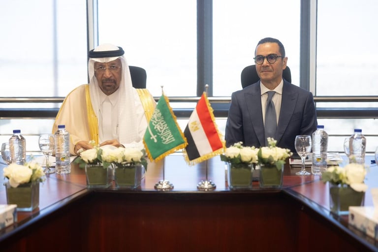 Egypt to launch Saudi investment office in Cairo this month