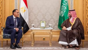 Saudi Crown Prince and Egyptian Prime Minister discuss bilateral relations, aspects of cooperation