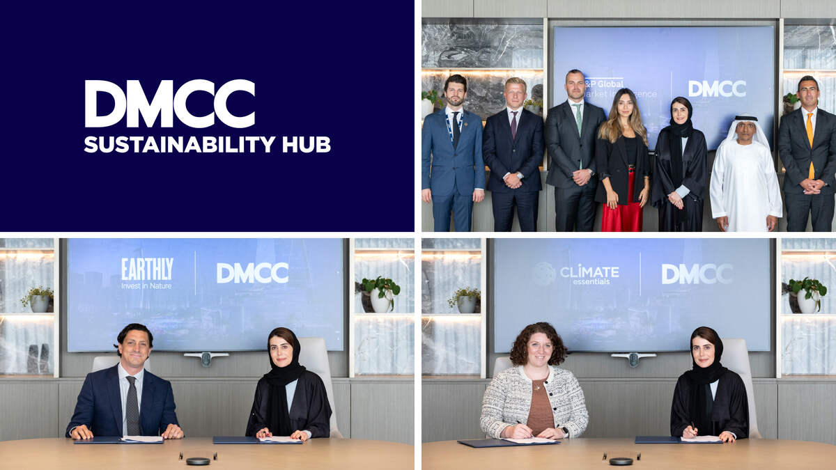 DMCC Sustainability Hub