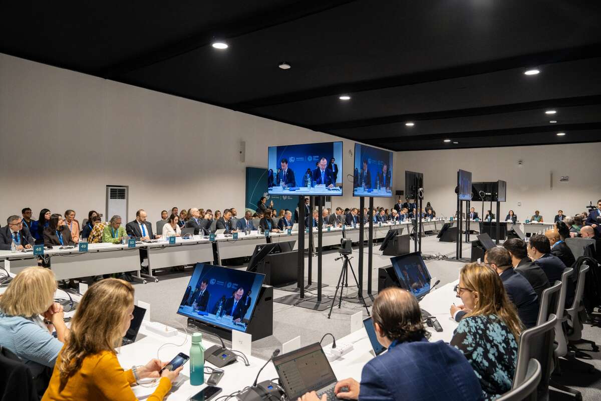 COP29
