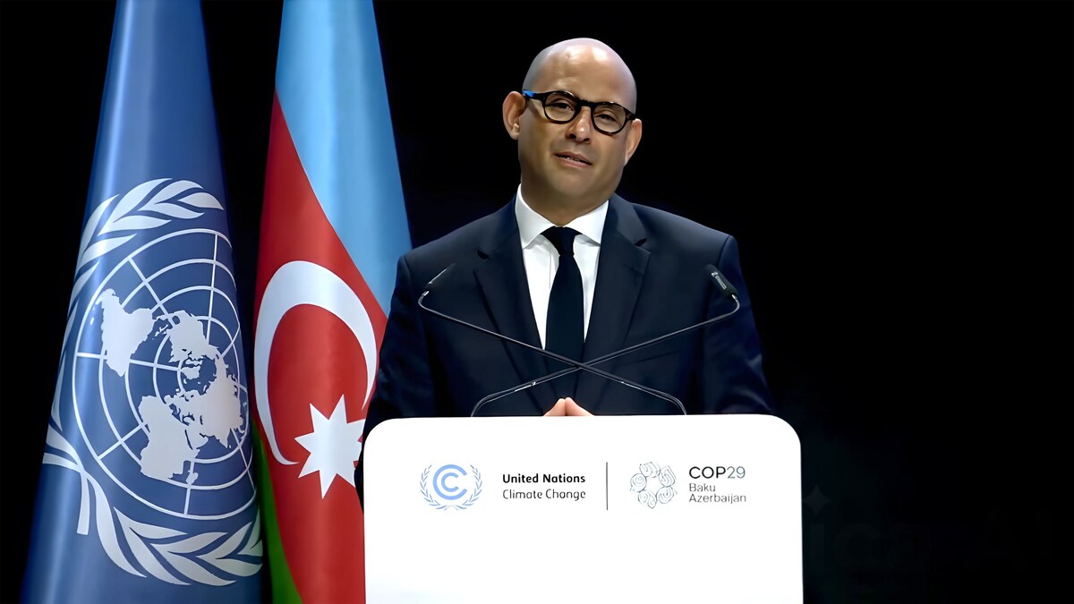 COP29