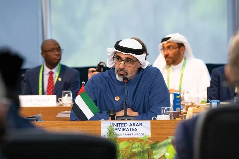 G20 summit: UAE allocates $100 million to support alliance against hunger, poverty