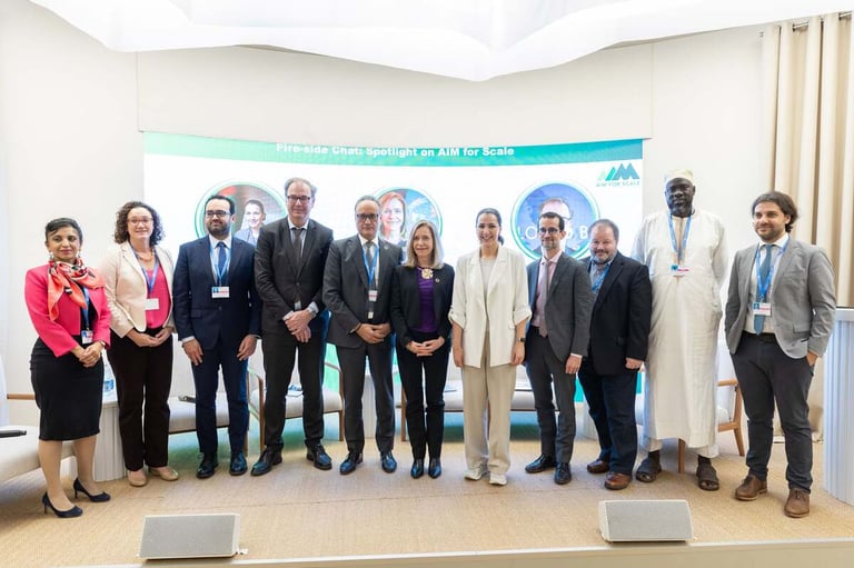 COP29: UAE leads agricultural innovation, launches pilot AgriLLM project