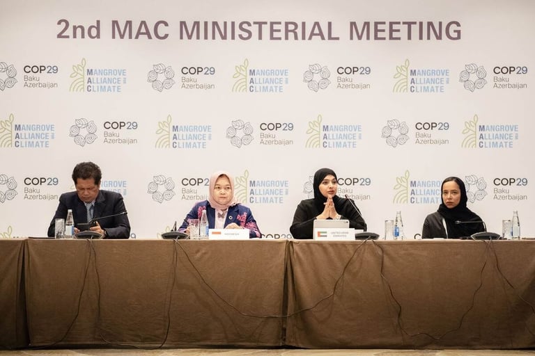 COP29: UAE champions greener future, introduces MAC Strategy 2031 to transform global mangrove ecosystems