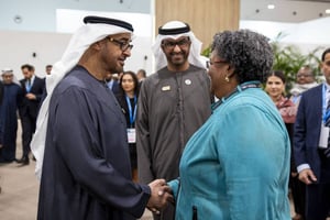 UAE President meets with heads of state, delegation leaders at COP29