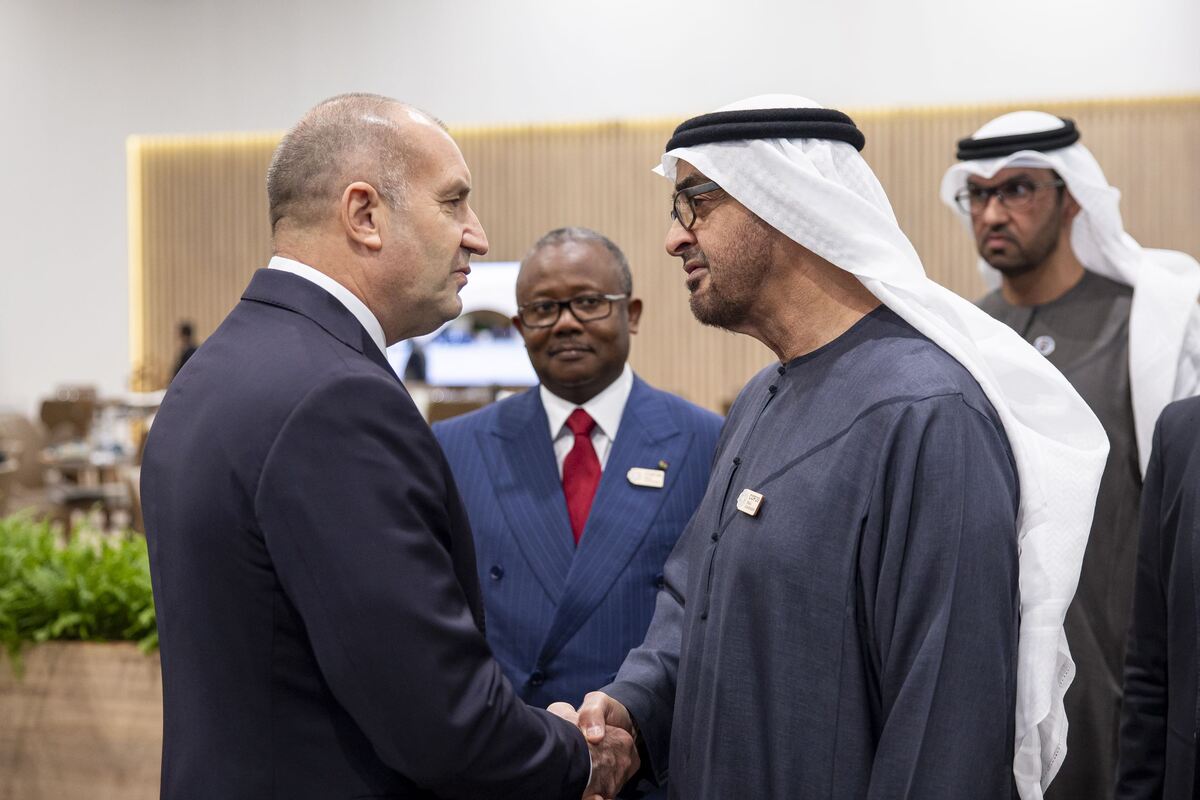 UAE President COP29