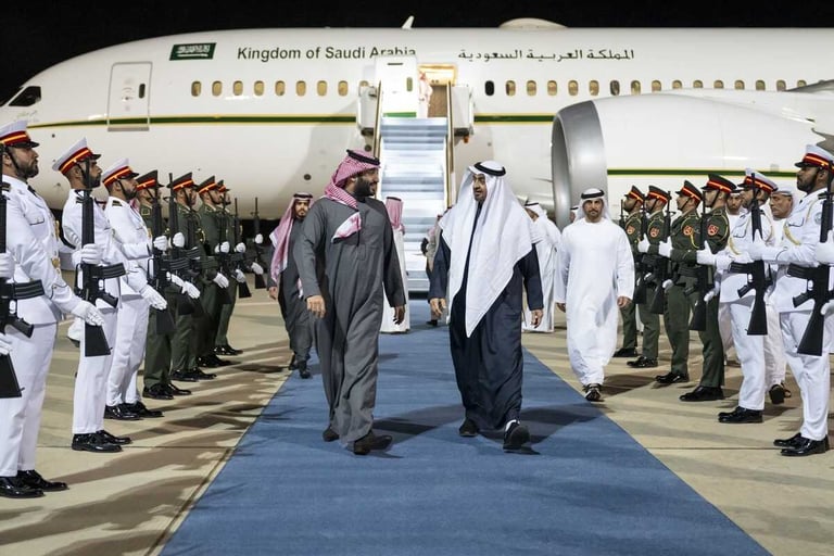 UAE President, Saudi Crown Prince meet to discuss close bilateral ties