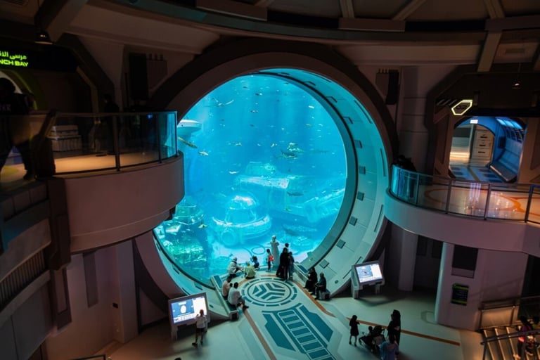 Abu Dhabi secures bid to host International Aquarium Congress 2030