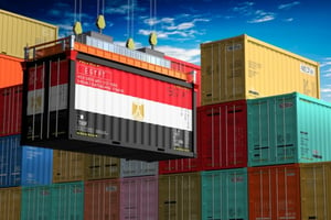 Egypt's non-oil merchandise exports surpass $40.8 billion in 2024