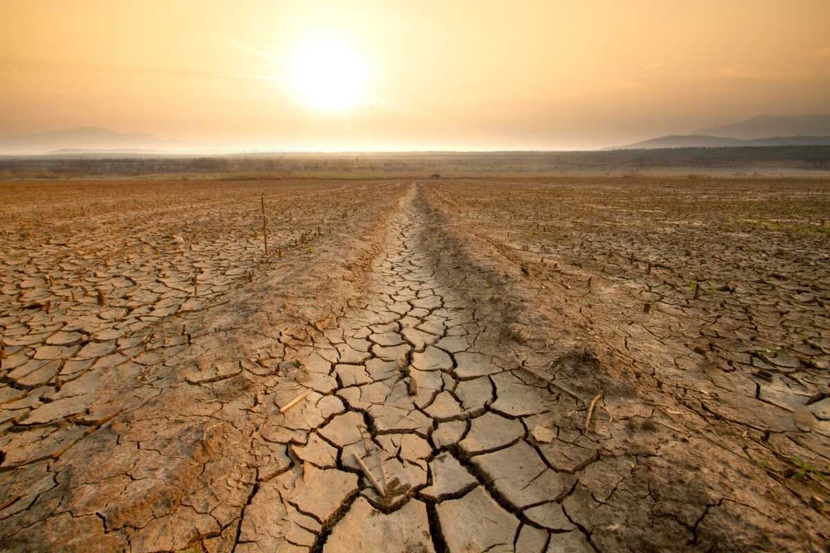 warmest year on record 2024