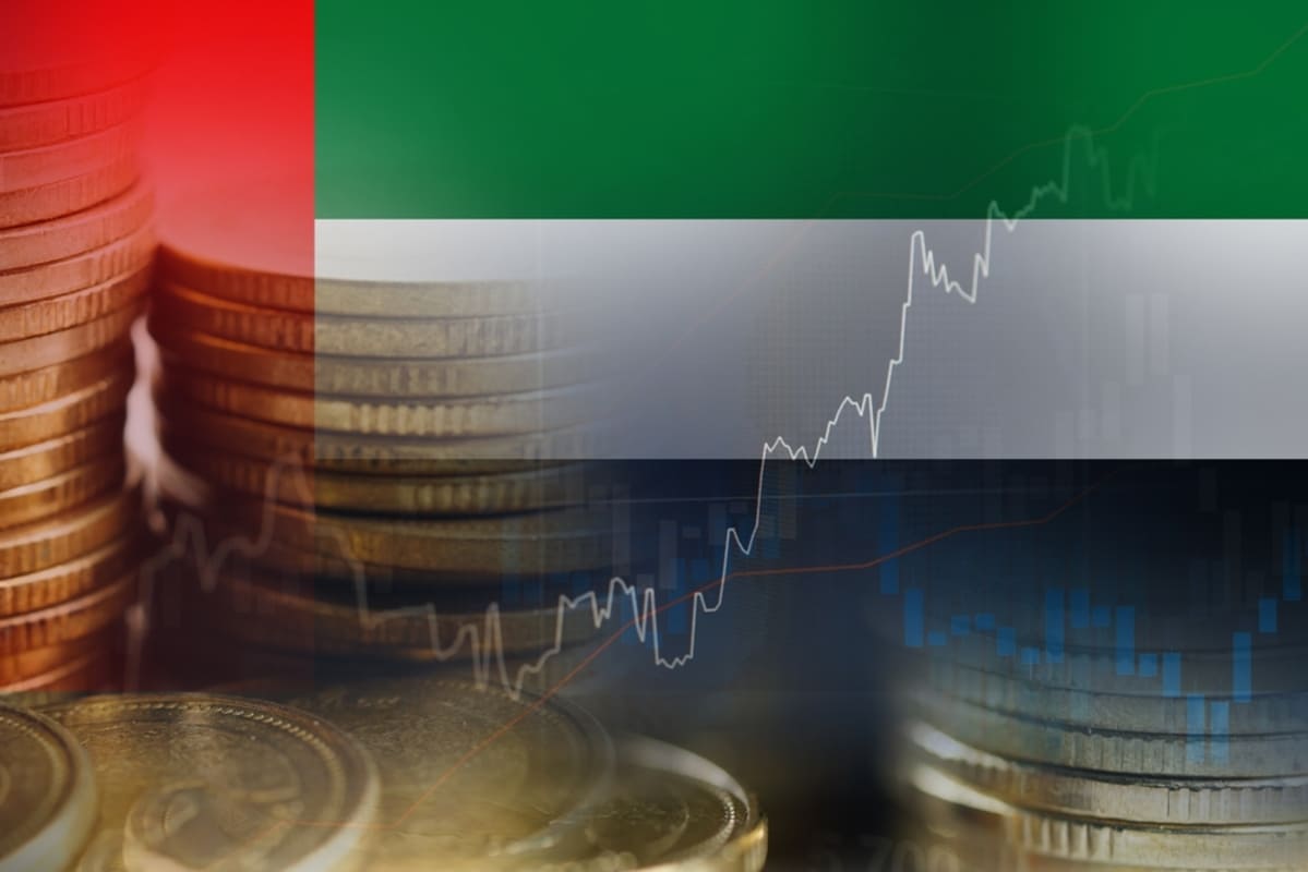 uae debt