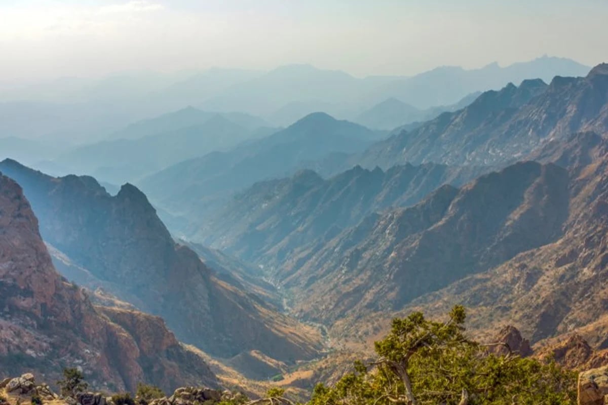 Taif KSA