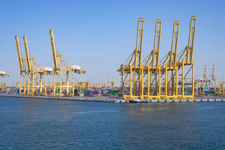 UAE is progressing toward becoming a “global maritime power,” says energy minister