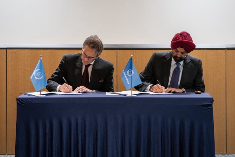 World Bank makes first step to reengage with nuclear power since 1965