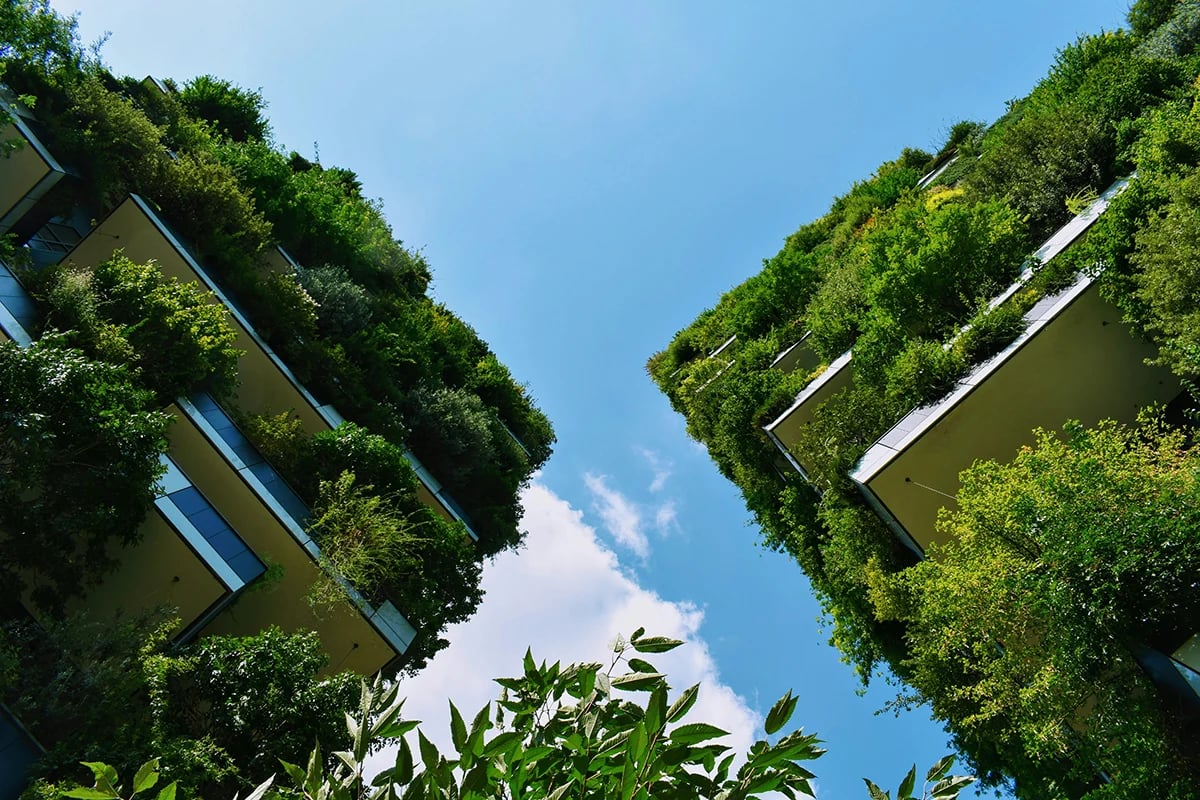 green building 2