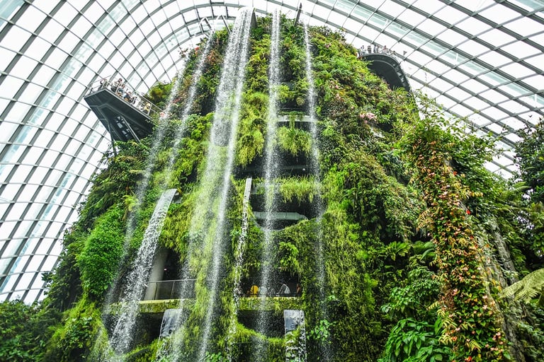 Global green building network rolls out new digital tool to support climate-resilient goals