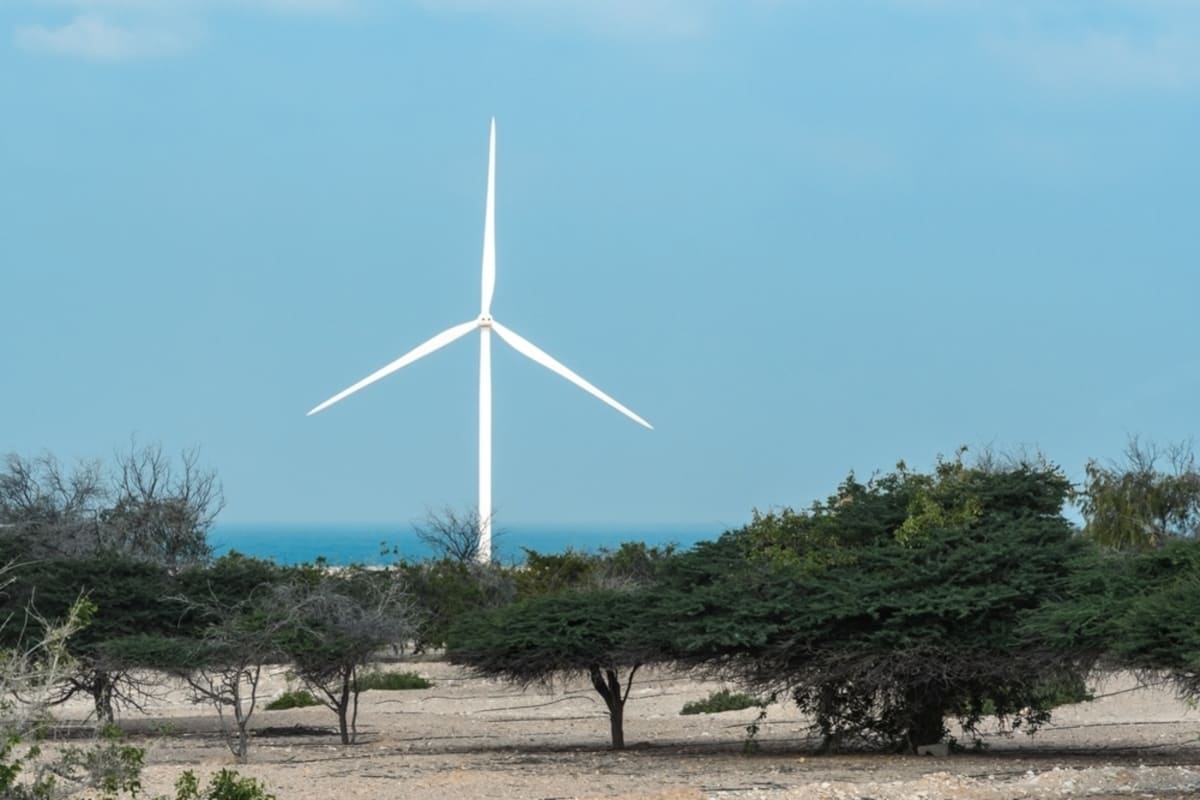 uae oil renewable