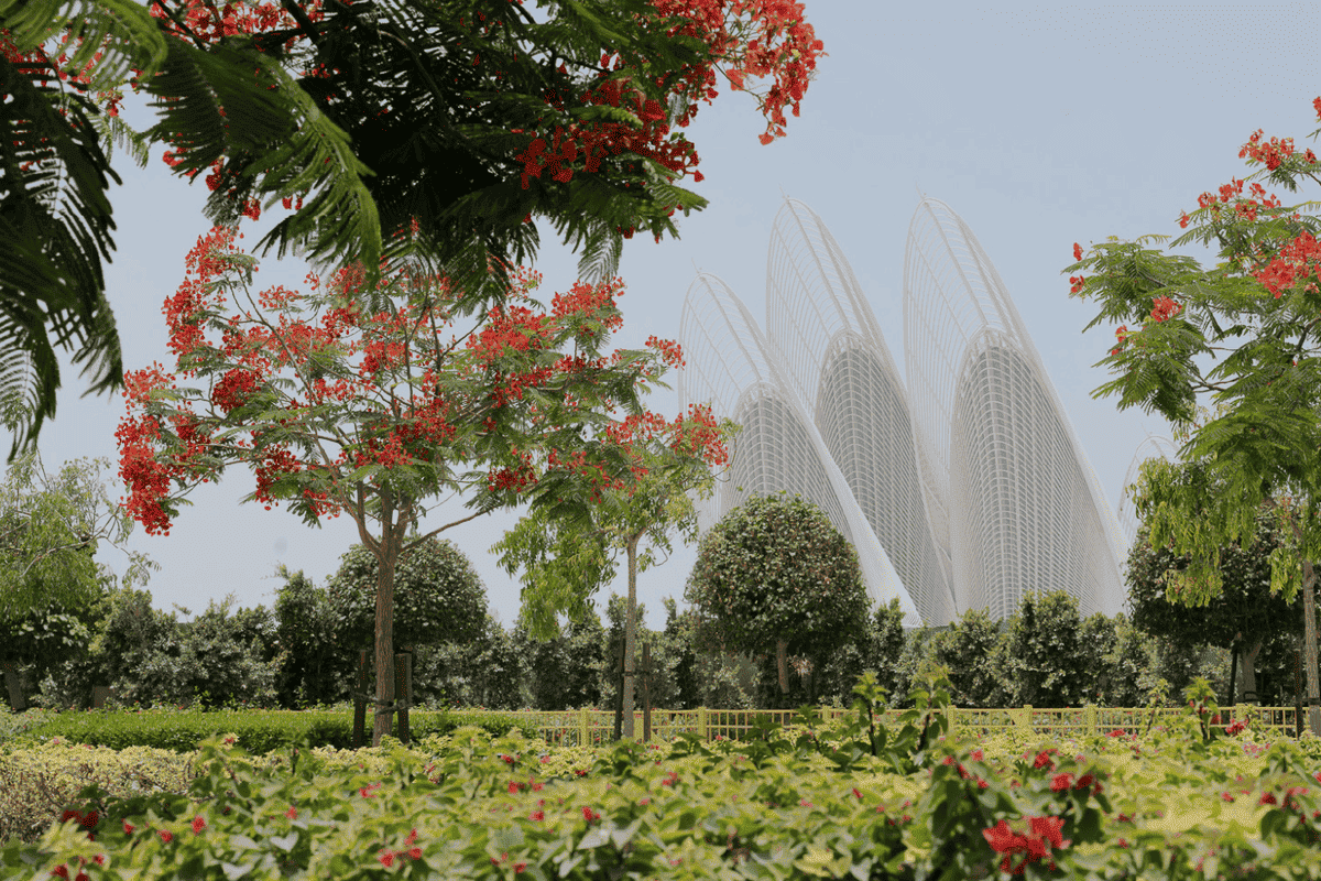 Zayed National Museum Abu Dhabi
