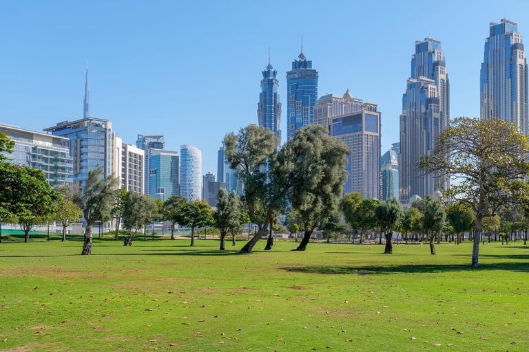 Dubai Municipality completes $52 million landscaping projects spanning 3 million sq m