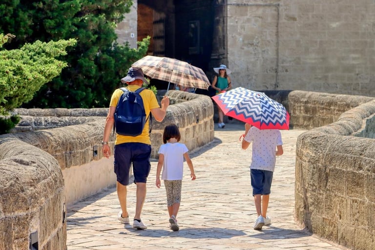 Western Europe registers hottest June on record with temperatures reaching 46°C, says Copernicus