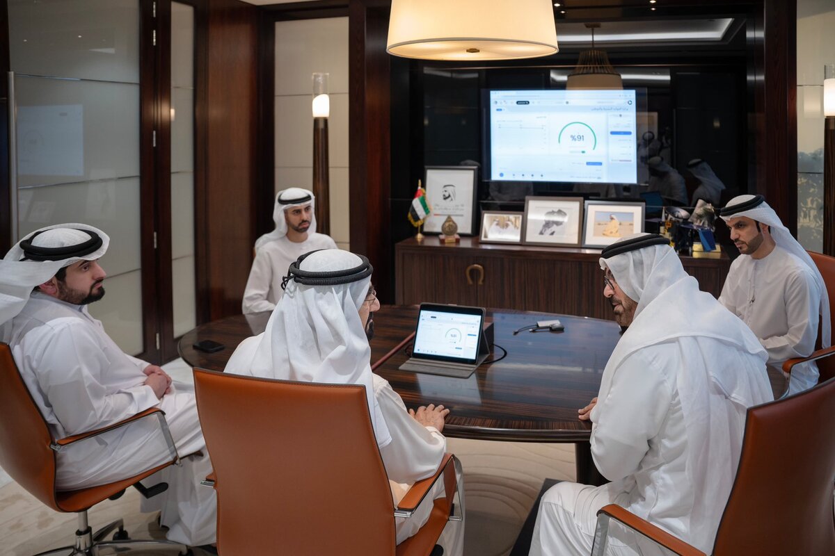 UAE government performance