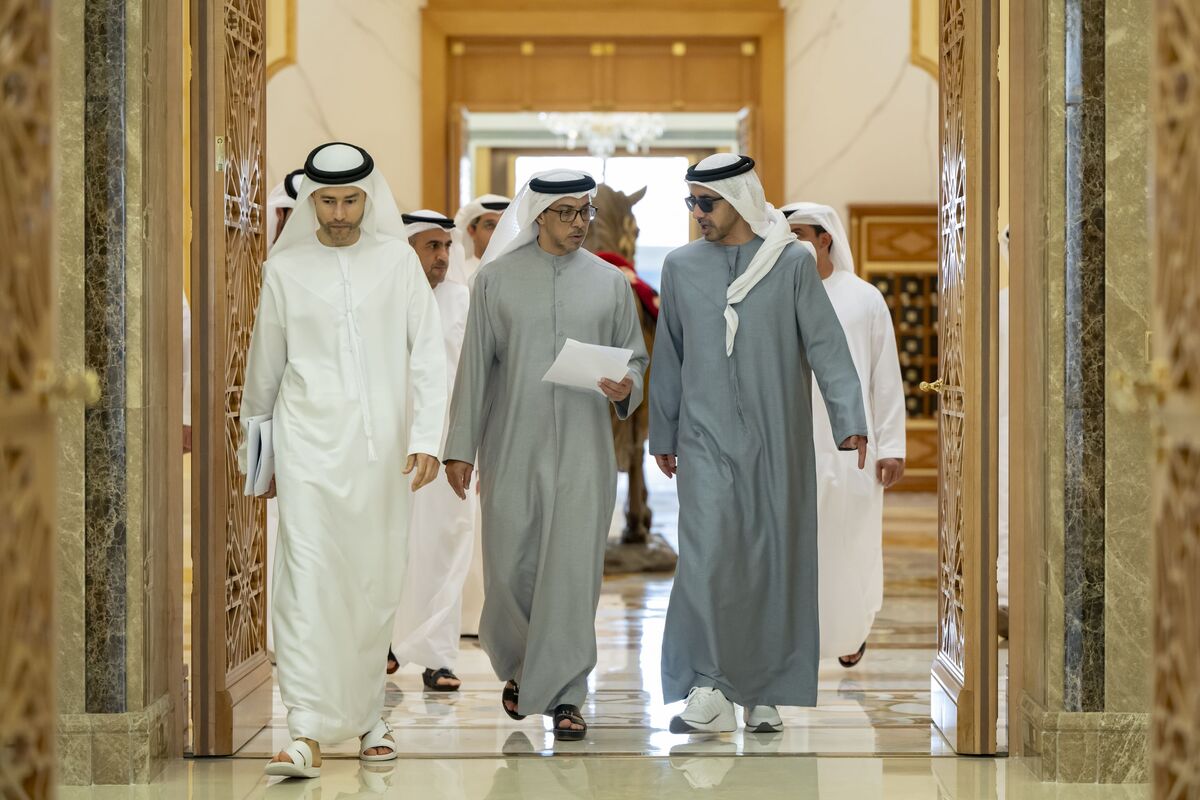 UAE General Budget Committee discusses 2026 draft budget, reviews 2025 position