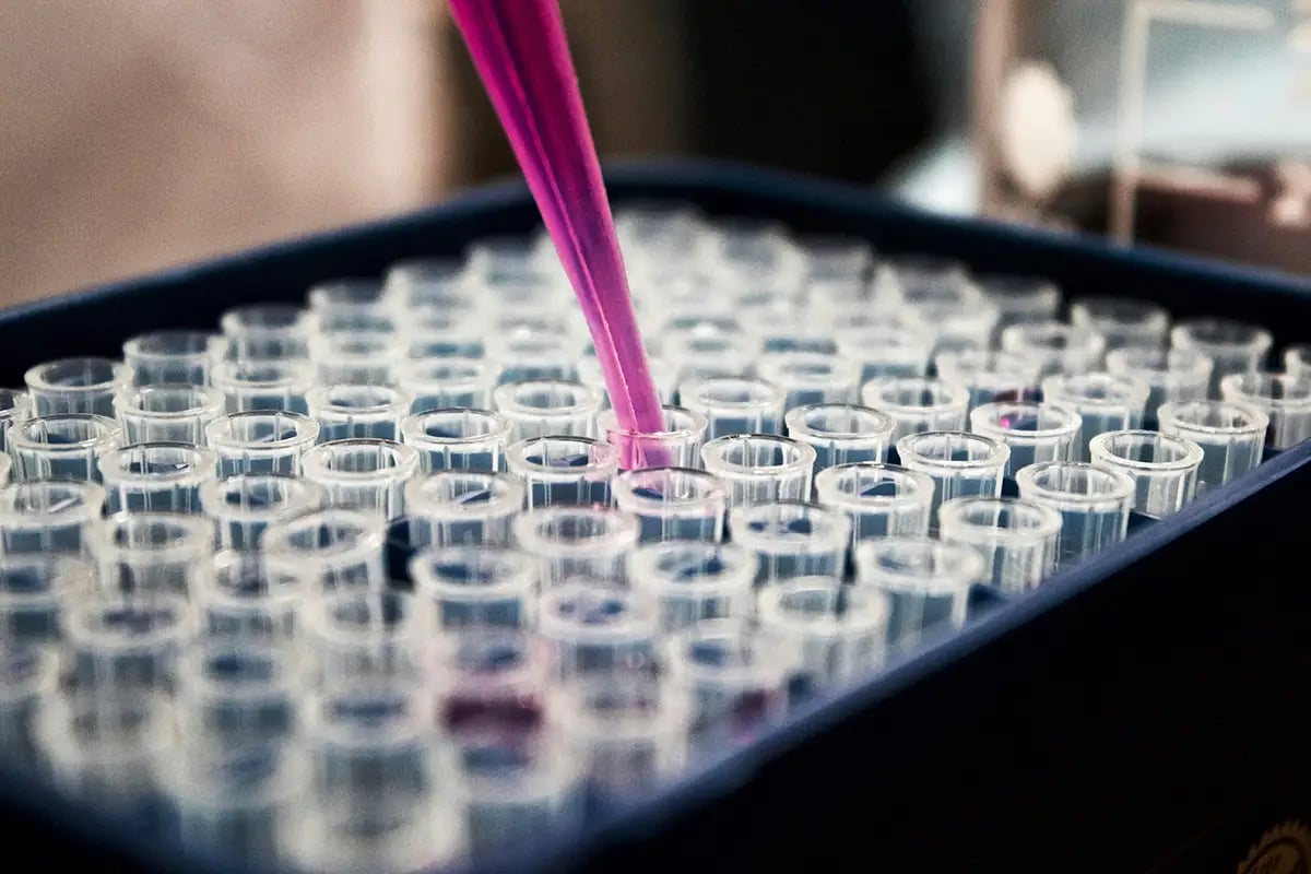 lab 2