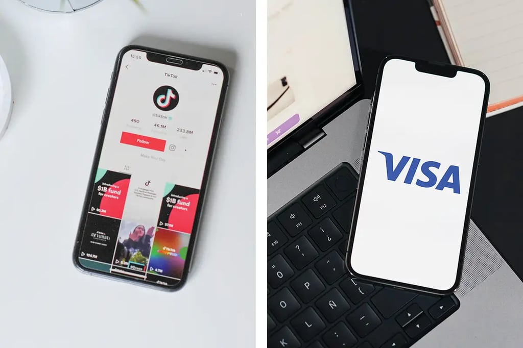 tiktok and visa
