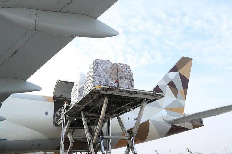 UAE has prodived $100.2 billion in foreign aid ahead of World Humanitarian Day