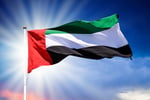 uae pmi