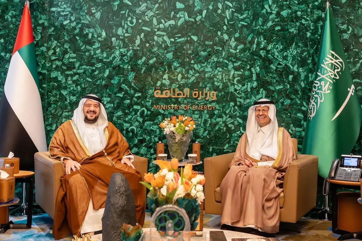 UAE, Saudi Arabia sign MoU on rail connectivity, electricity trade and ...