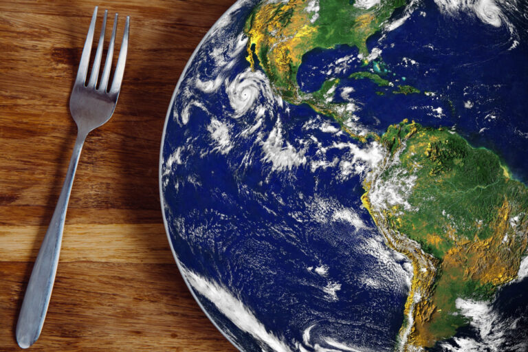 food crisis