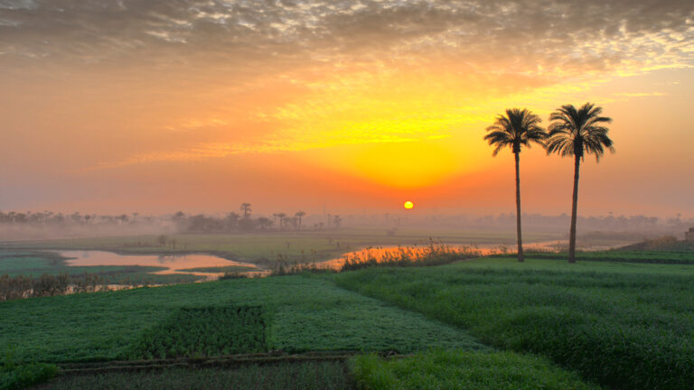 Egypt goes big on green projects ahead of hosting COP27