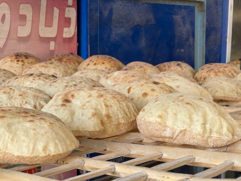 إلى متى يكفي مخزون مصر من القمح؟