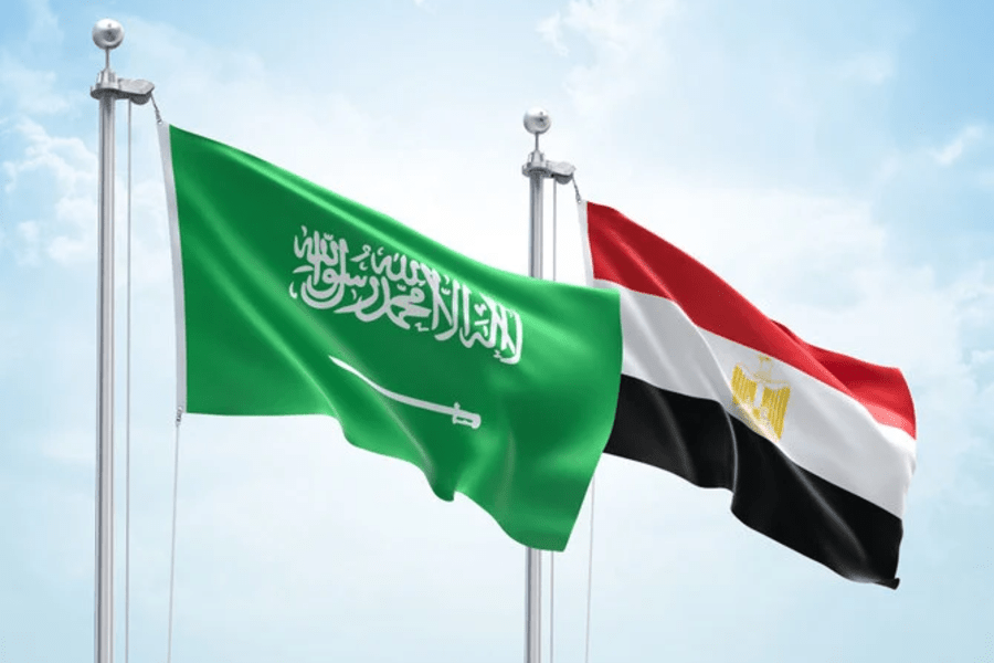 Saudi Egyptian Investment