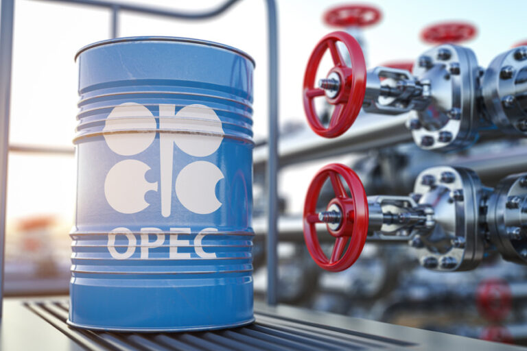 OPEC cuts 2022, 2023 oil demand growth view
