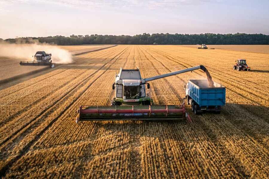 Grain exports