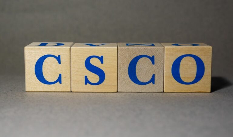 Cisco Systems managed to stay afloat their Q2 performance