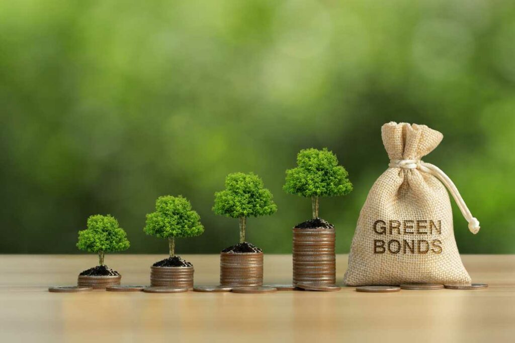 Major UAE institutions issuing billions in green bonds