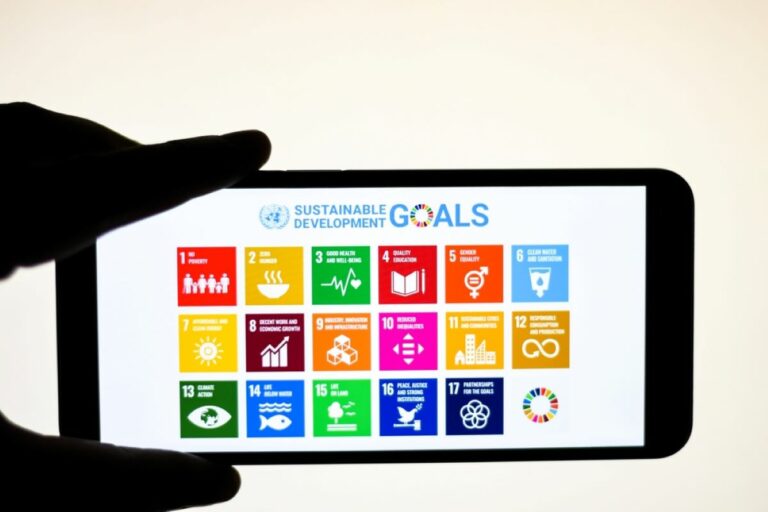 WEF: SDGs require partnerships